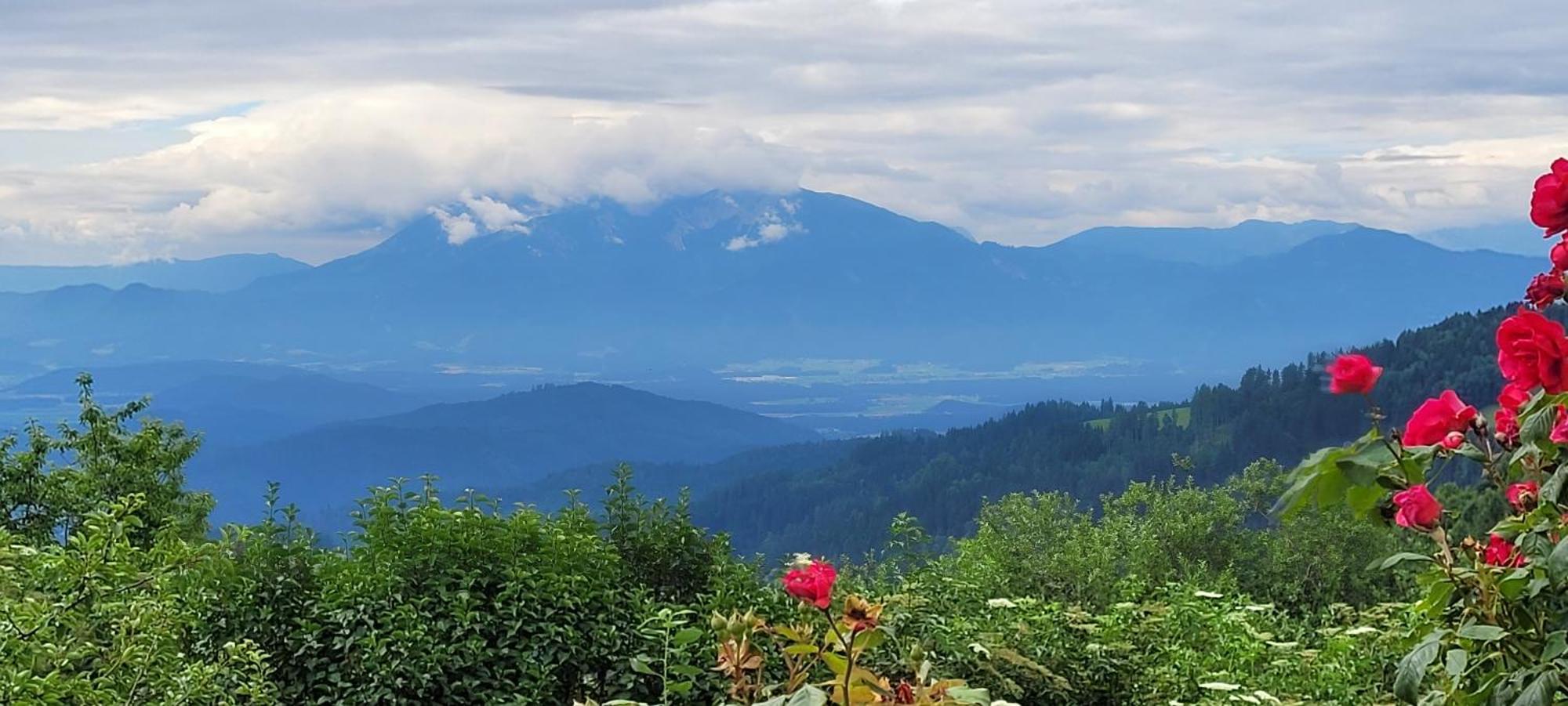 Gasthof Machwirth Griffen Zewnętrze zdjęcie
